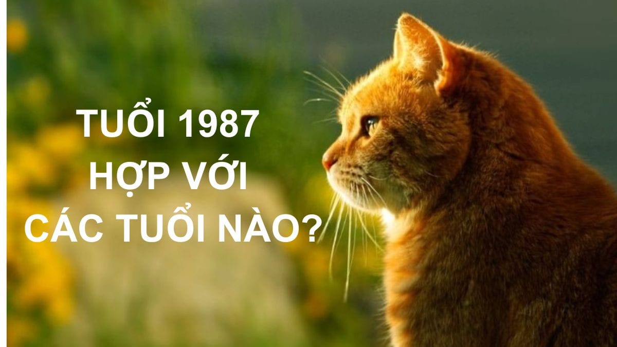 Tuổi hợp và khắc với người sinh năm 1987