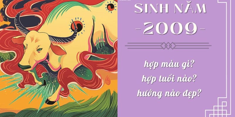 Tuổi Kỷ Trâu hợp các màu đỏ, hồng, cam