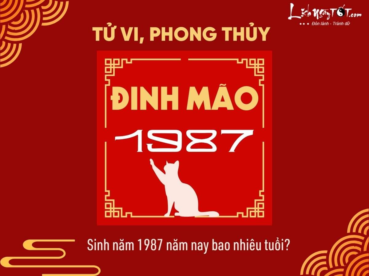 Tuổi thật và tuổi mụ của người sinh năm 1987