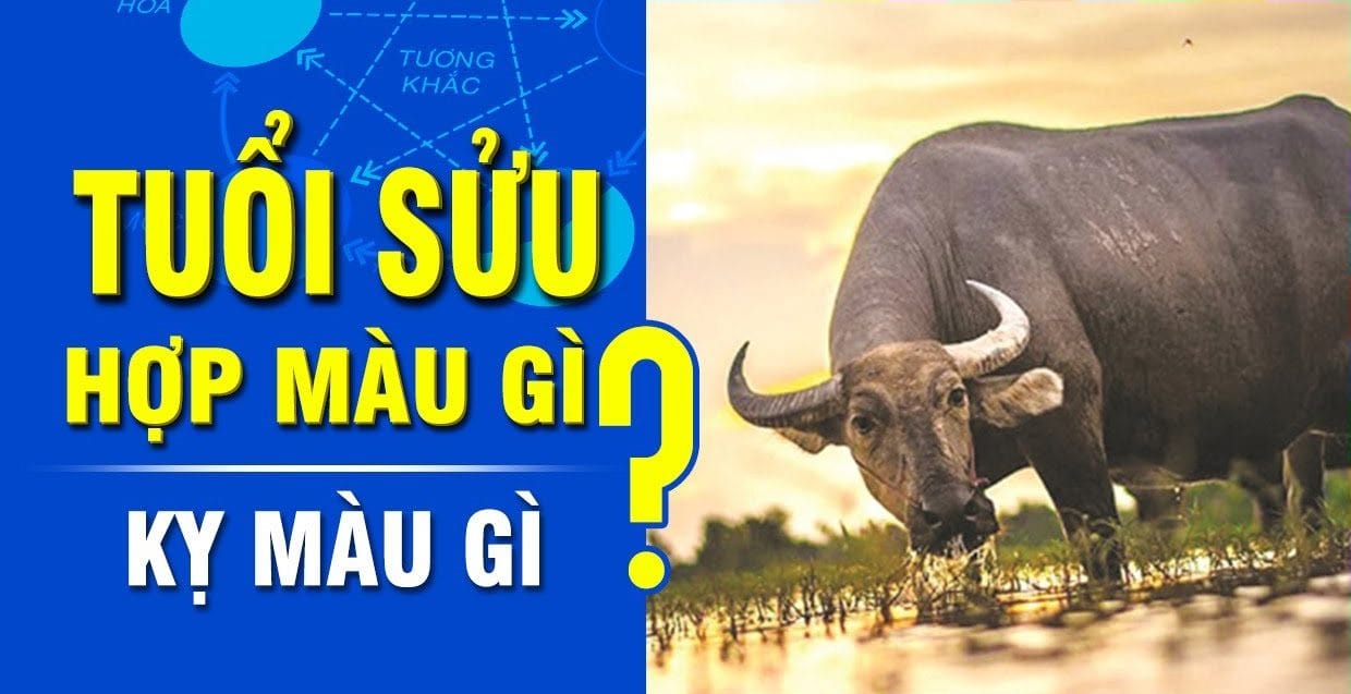 Tùy vào năm sinh và cung mệnh mà tuổi Trâu lại kỵ các màu khác nhau