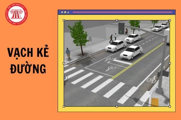 Vạch kẻ đường màu trắng phân chia làn đường và hướng dẫn giao thông