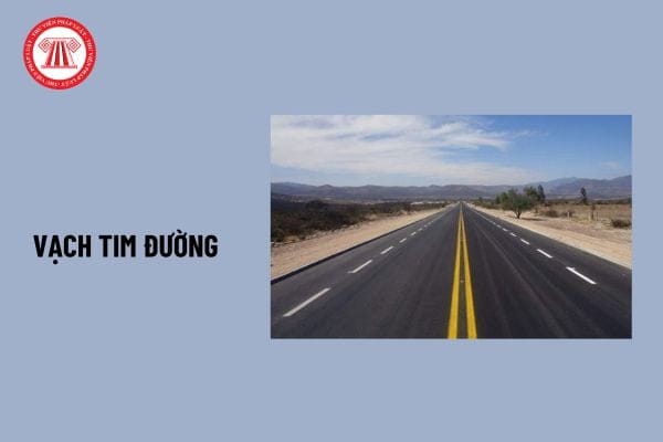Vạch tim đường trên mặt đường, hướng dẫn phân chia làn xe và đảm bảo an toàn giao thông.