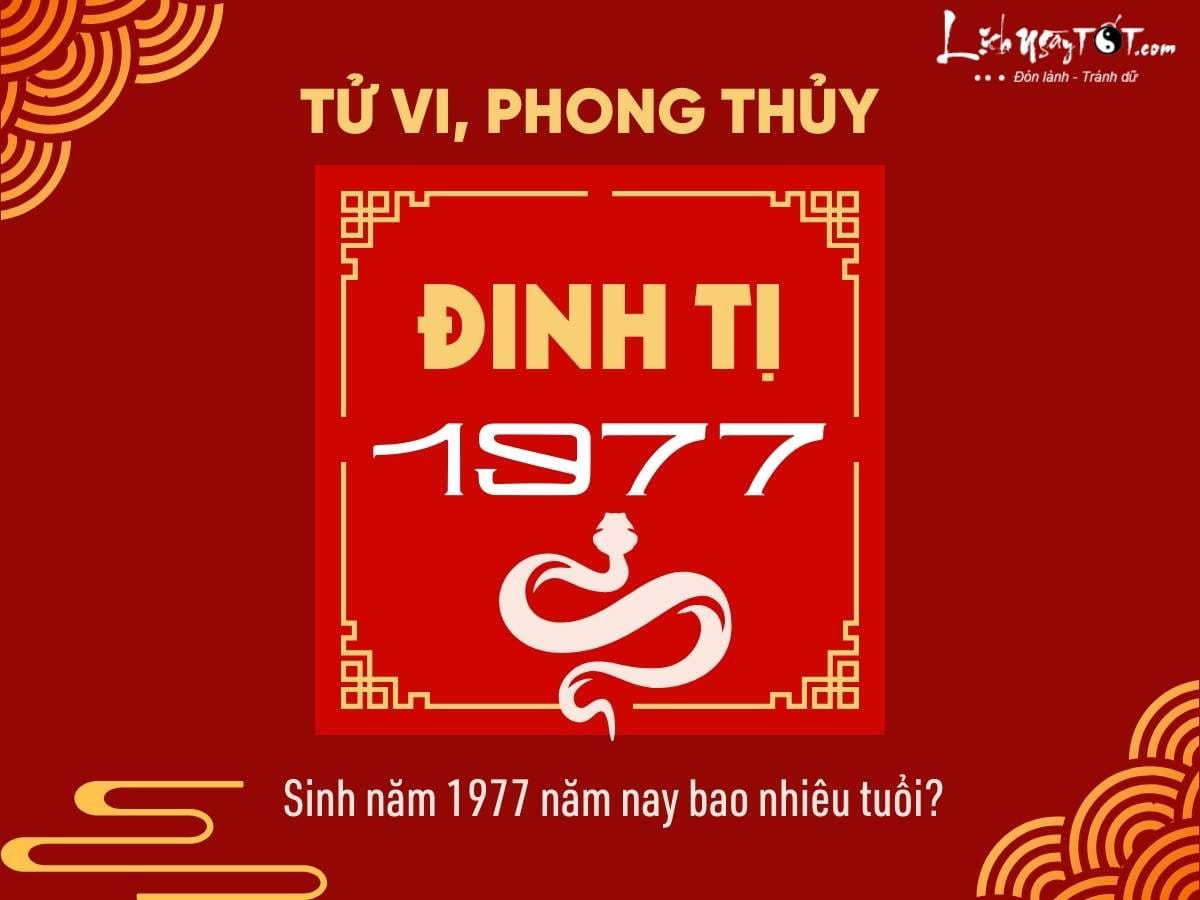 Vận mệnh người sinh năm 1977 Đinh Tỵ, giải đáp 1977 bao nhiêu tuổi