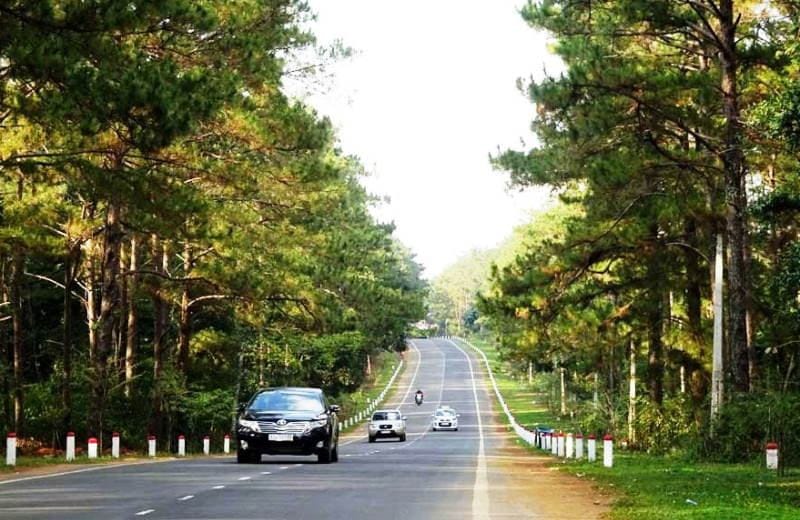 Xe 16 chỗ di chuyển trên tuyến đường Măng Đen, Kon Tum với cảnh quan núi rừng xanh tươi, một lựa chọn tuyệt vời cho hành trình từ Đà Nẵng.