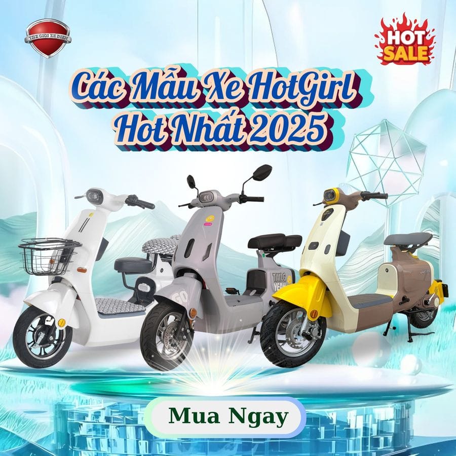 xe đạp điện cao cấp tiện lợi