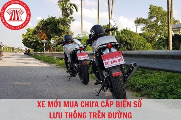Xe mới mua chưa có cavet, liệu có được phép lưu thông?